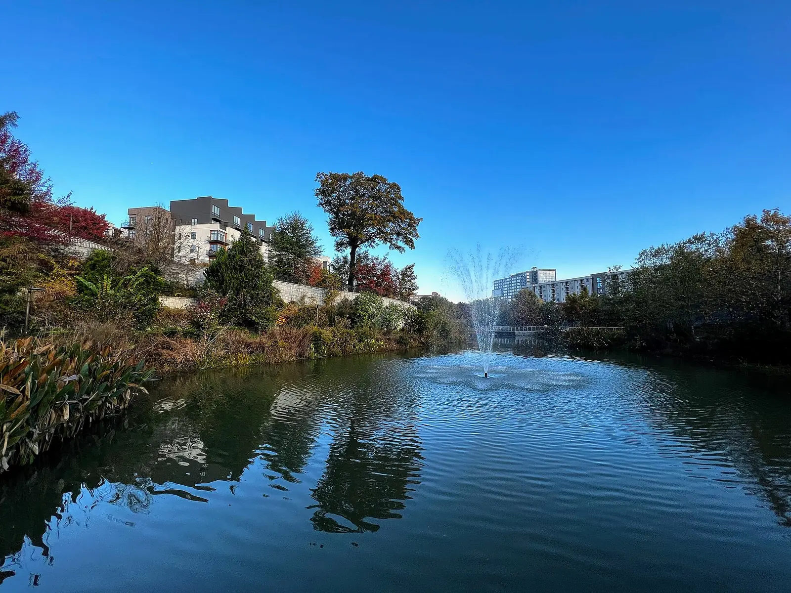 The pond and fountain at Historic Fourth Ward Park in the Old Fourth Ward
