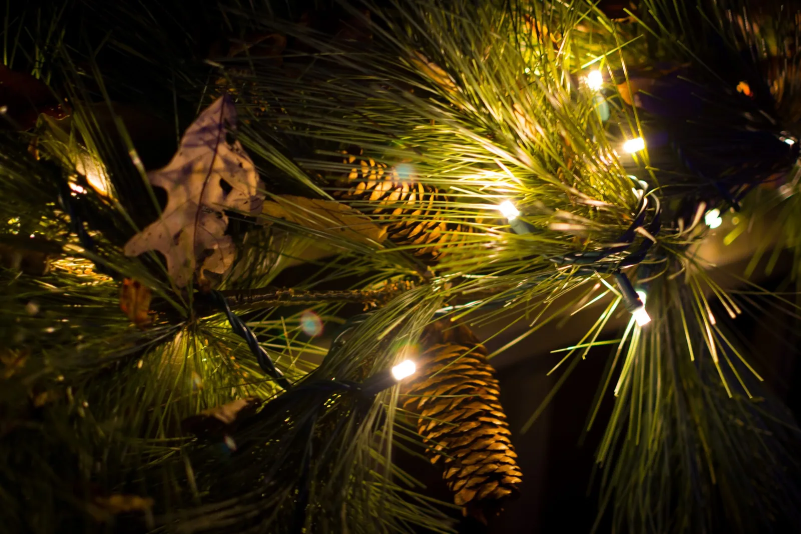 Lit garland at Garden Lights, Holiday Nights at the Atlanta Botanical Garden.