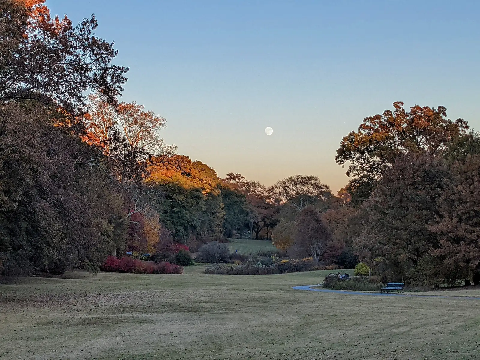 The Springdale Park segment of Atlanta's Olmsted Linear Park