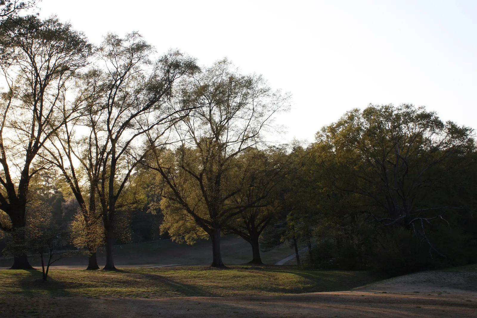Chastain Park in Atlanta's Buckhead area