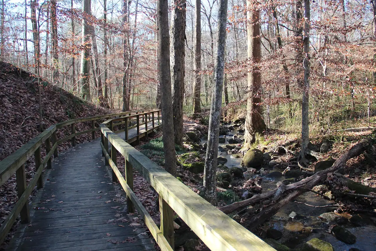 The boardwalk at Cascade Springs Nature Preserve in southwest Atlanta